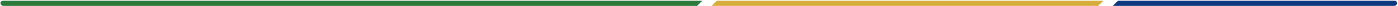 Footer Border